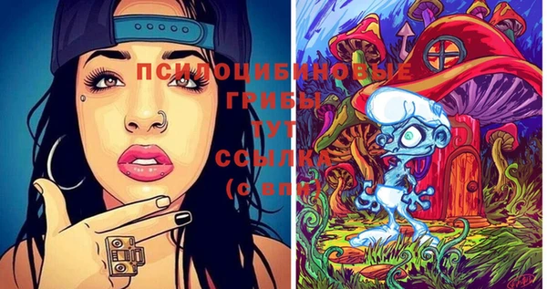 скорость Богородицк